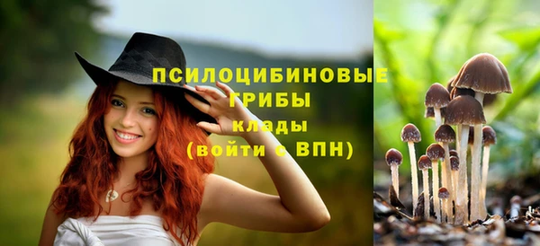 мдма Дмитров